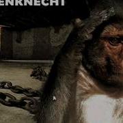 Rammstein Helden