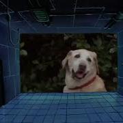 This Is My Lab