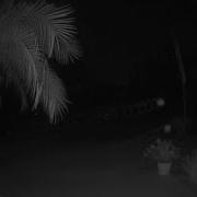 2 Mysterious Orbs Of Light Caught On Camera Flying Through Palm Coast Yard