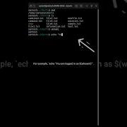 Learn Linux Unix Whoami Command In 60 Seconds Linux Unix Commands For Beginners