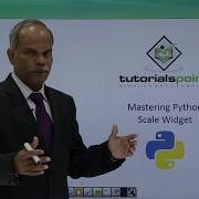Python Scale Widget
