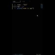 Python Printing Variables Common Mistake Shorts
