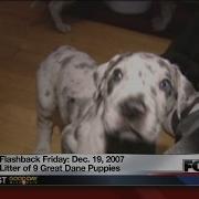 Flashback Friday Dec 19 2007