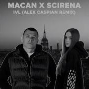 MACAN SCIRENA IVL