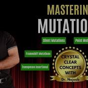 Mutation Types Of Mutations DNA Genetics Part 1