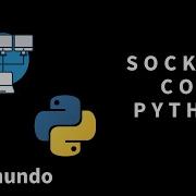 Sockets Con Python Hola Mundo