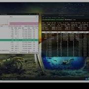 Linux Shell Scripting Realtime System Monitoring And Task Management Using Cli