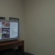 Browsing Multimedia Cooking Magazine With Kinect