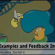 Enzyme Examples Cofactors Coenzymes Inhibitors And Feedback Inhibition