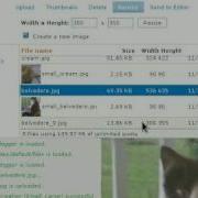 Drupal Add Images With Tinymce And Imce