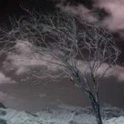Anathema Lost Control