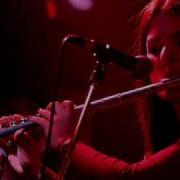 STRING FORCES Kade Begash