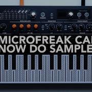 MicroFreak Upgrade My Favorite Synth Can Now Play Samples