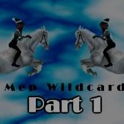 Wildcard MEP Canceled