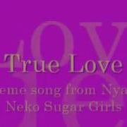 True Love Lyrics Nyan Neko Sugar Girls Opening 1