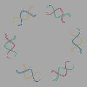 Twins Openframeworks Programming Creativecoding