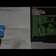 ESP32 C6 LCD 1 47 Waveshare Conway S Game Of Life Bevy ECS Rust No Std