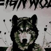 Reignwolf Are You Satisfied Official Audio