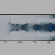 CFD Python Test