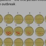 Results Of Epidemic Simulation Lab