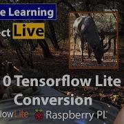 10 Live Coding Tensorflow Image Classification With Transfer Learning TF Lite Conversion