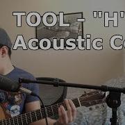 Tool H Acoustic Vocal Cover