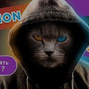 Как в Python применять JSON на ПРАКТИКЕ Обработка и получение JSON от API
