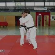 Judo 2 Dan Systematisierung Koshi Waza ZZD2 No 41