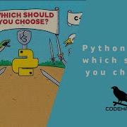 Python Vs C Which Should You Choose