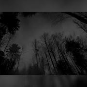 Dionnysuss Fangs Slowed Reverb Enhanced