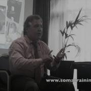 Complexity Vs Complication By Guy VOYER DO