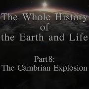 The Whole History Of The Earth And Life Part8 The Cambrian Explosion