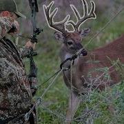 2 PUBLIC Land BUX In 1 Day