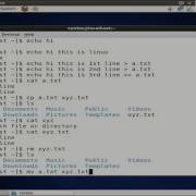 Linux Learning Series Day 2 Linux Basic Shell Commands