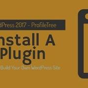 WordPress Plugins Tutorial How To Install Your First Plugin