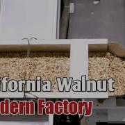 Walnut Processing Farm To Factory Packaging Resonance HD Modern Food Processing