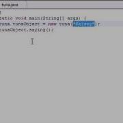 Java Programming Tutorial 17