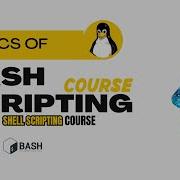 Learn Shell Scripting Basics For Beginners Step By Step Tutorial
