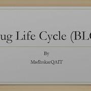 Bug Life Cycle BLC