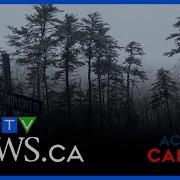 N S Boy Who Was Attacked By 3 Dogs Dies From Injuries Across Canada For Jan 7 2026
