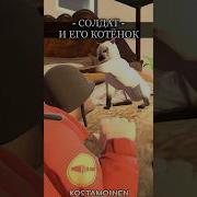 Солдат и ЕГО КОТЁНОК TF2 анимация Tf2 озвучка прикол Shorts