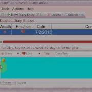 How To Use Efficient Diary Journal Software