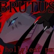Hollyleaf PMV Brutus