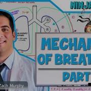 Respiratory Mechanics Of Breathing Pressure Changes Part 1