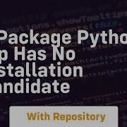E Package Python Pip Has No Installation Candidate