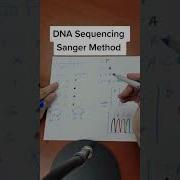 DNA Sequencing Sanger Method