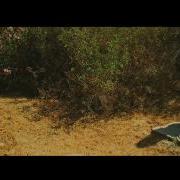Looper 2 Trailer