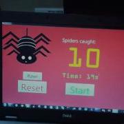 Netduino Whack A Spider Game