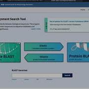 Benchling Tutorial NCBI BLAST With Nucleic Acid Sequence And Aminoacid Sequence