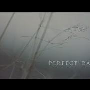 PERFECT DARKNESS Inspired By Fink